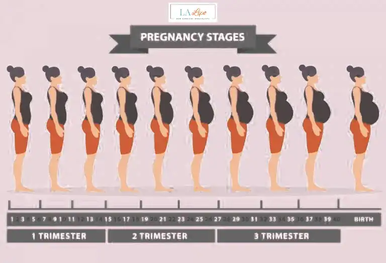 First Trimester (Weeks 1–12): Early Changes You Might Not Notice Worthing